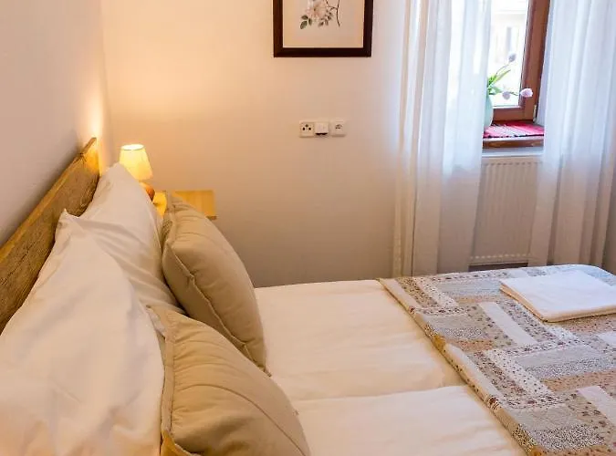201 Broumov Guest house 3*